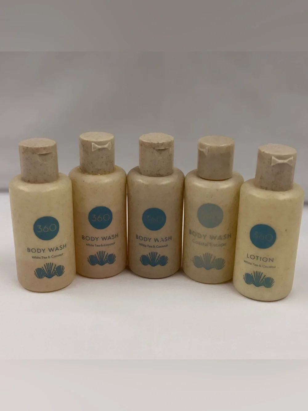 360 Luxury Guest Room Toiletries Bathroom Amenities Kit Bulk Travel Size Lot